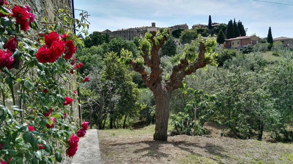 לינה וארוחת בוקר Sant'Angelo in Colle Colombaio In Colle מראה חיצוני תמונה