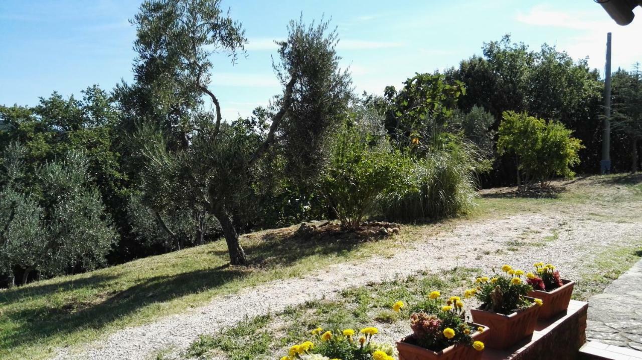 לינה וארוחת בוקר Sant'Angelo in Colle Colombaio In Colle מראה חיצוני תמונה